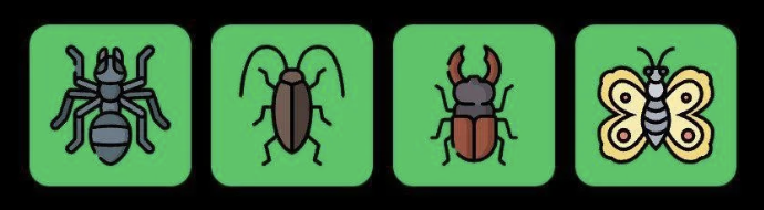 FLIES Daily Combo 3 July 2025